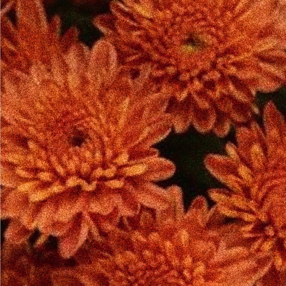 Lowly Worm Enamel Pin - Picture 4 of 5